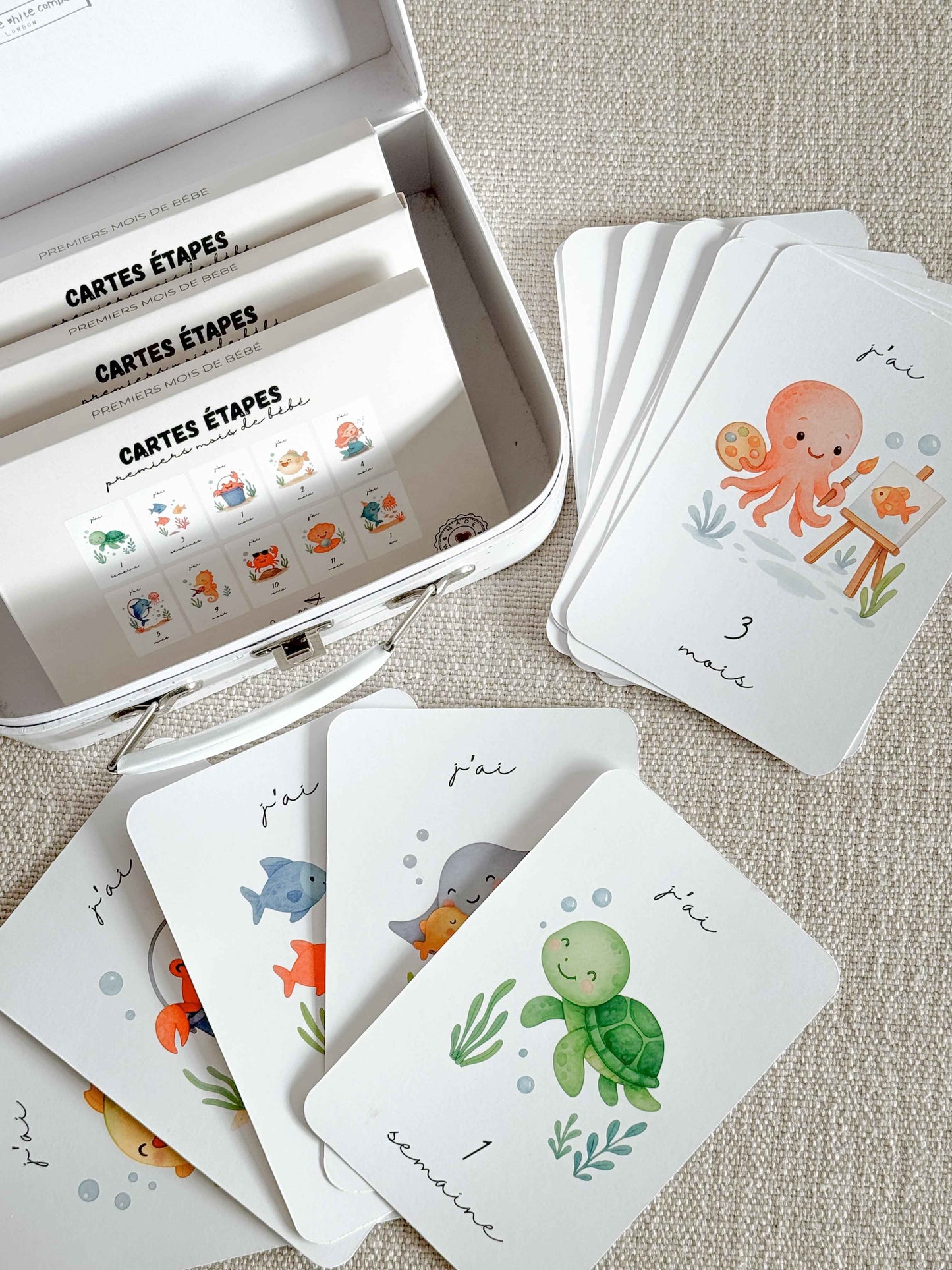 Cartes Étapes Bébé : Premiers Mois - Gribouille