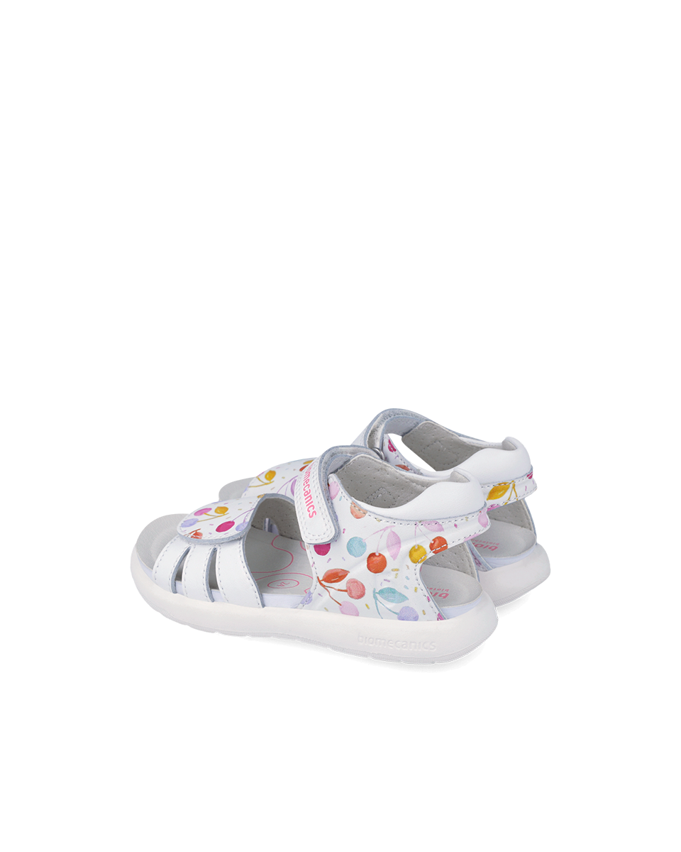 Biomecanics Bioévolution Bonbon