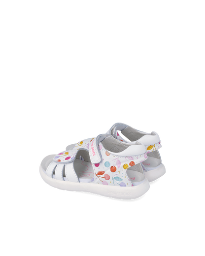 Biomecanics Bioévolution Bonbon