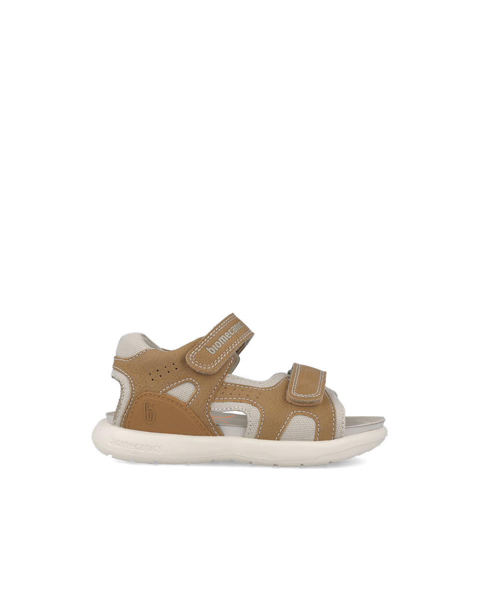 Biomecanics Bioévolution Caramel