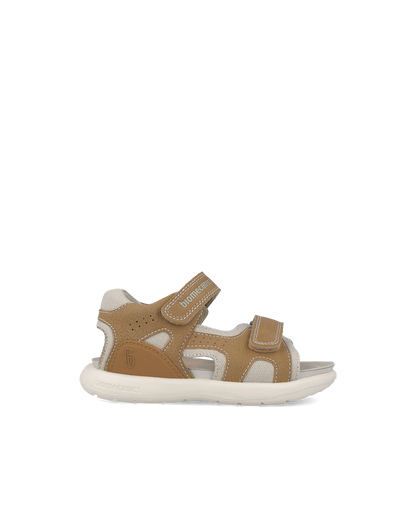 Biomecanics Bioévolution Caramel