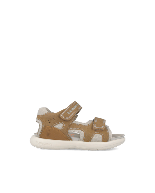 Biomecanics Bioévolution Caramel