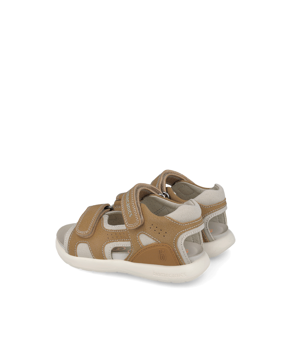 Biomecanics Bioévolution Caramel
