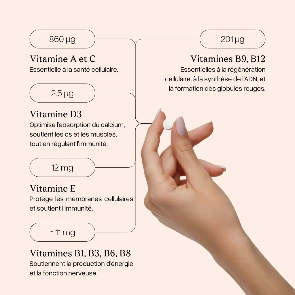 Ingrédients Naturels d'Elev8 Vitalité pour un Boost d’Énergie Durable - Nanou’s House